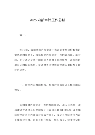 2025内部审计工作总结