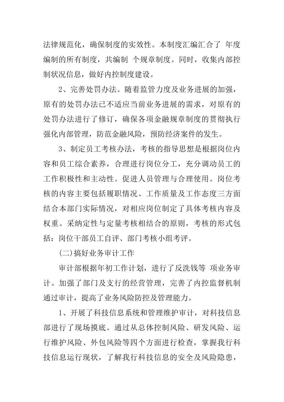 2025内部审计工作计划例文格式_第2页