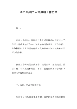 2025出纳个人试用期工作总结
