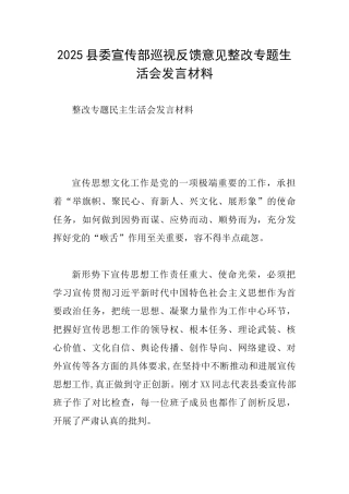 2025县委宣传部巡视反馈意见整改专题生活会发言材料