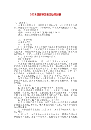 2025圣诞节团日活动策划书