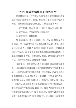 2025大学生销售实习报告范文