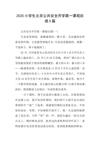 2025小学生北京公共安全开学第一课观后感5篇