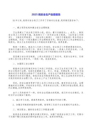 2025局安全生产自查报告