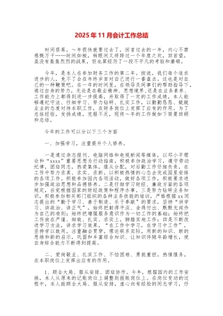 2025年11月会计工作总结