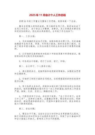2025年11月会计个人工作总结
