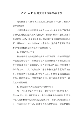 2025年11月党支部工作总结与计划
