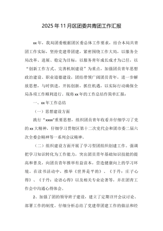 2025年11月区团委共青团工作汇报