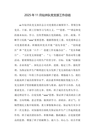 2025年11月钻井队党支部工作总结