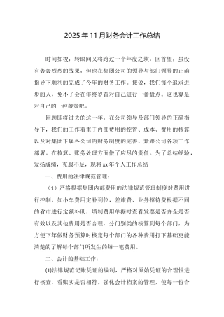 2025年11月财务会计工作总结