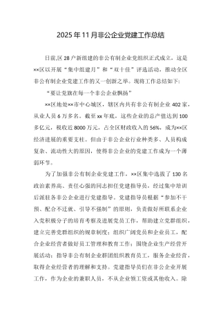 2025年11月非公企业党建工作总结