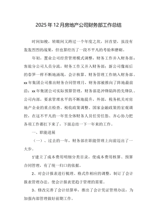 2025年12月房地产公司财务部工作总结