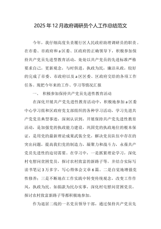2025年12月政府调研员个人工作总结范文