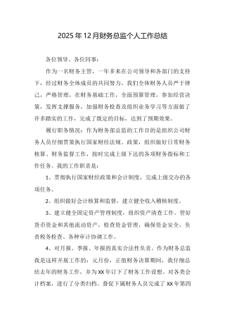 2025年12月财务总监个人工作总结