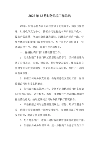 2025年12月财务总监工作总结