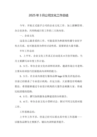 2025年3月公司文化工作总结