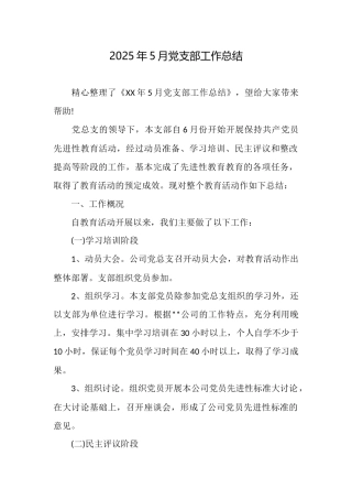 2025年5月党支部工作总结