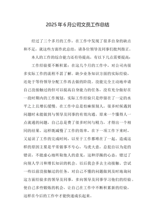 2025年6月公司文员工作总结