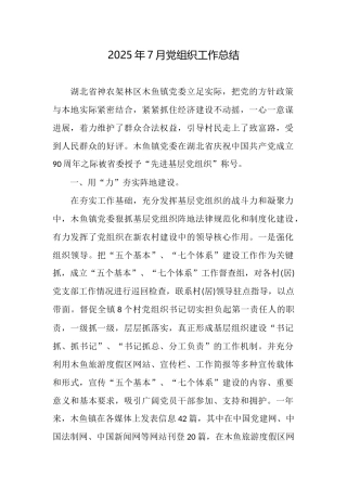 2025年7月党组织工作总结