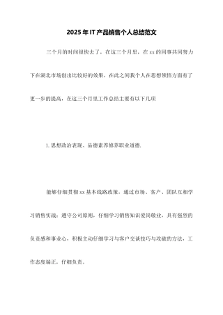 2025年IT产品销售个人总结范文