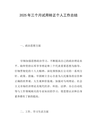2025年三个月试用转正个人工作总结