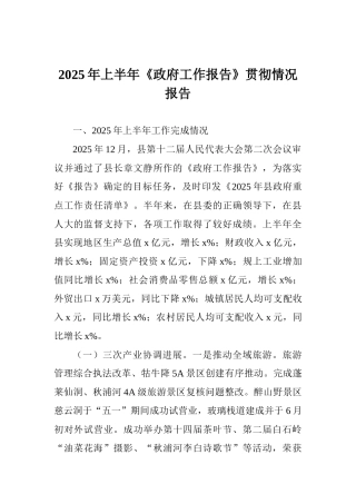 2025年上半年《政府工作报告》贯彻情况报告