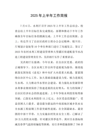 2025年上半年工作简报