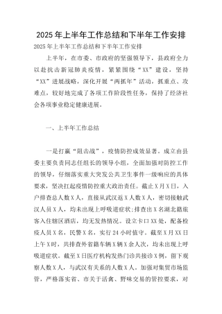 2025年上半年工作总结和下半年工作安排