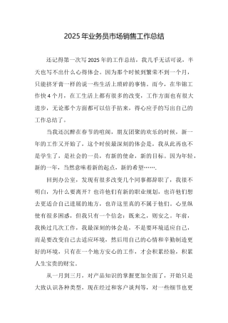2025年业务员市场销售工作总结