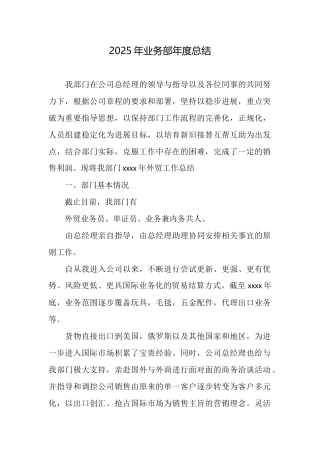 2025年业务部年度总结