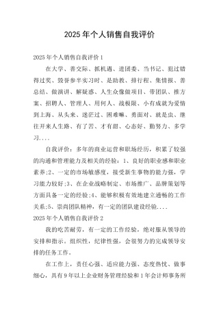 2025年个人销售自我评价