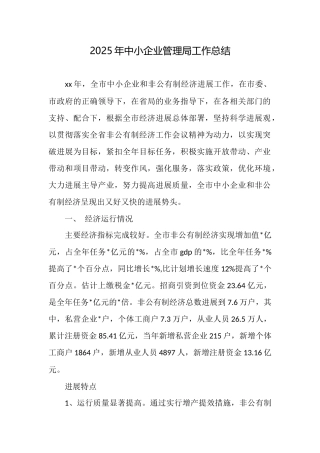 2025年中小企业管理局工作总结