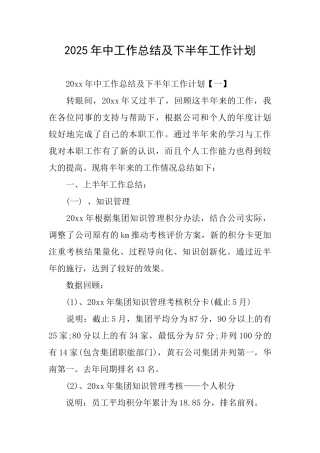 2025年中工作总结及下半年工作计划