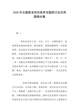 2025年主题教育党性修养专题研讨发言两篇稿合集