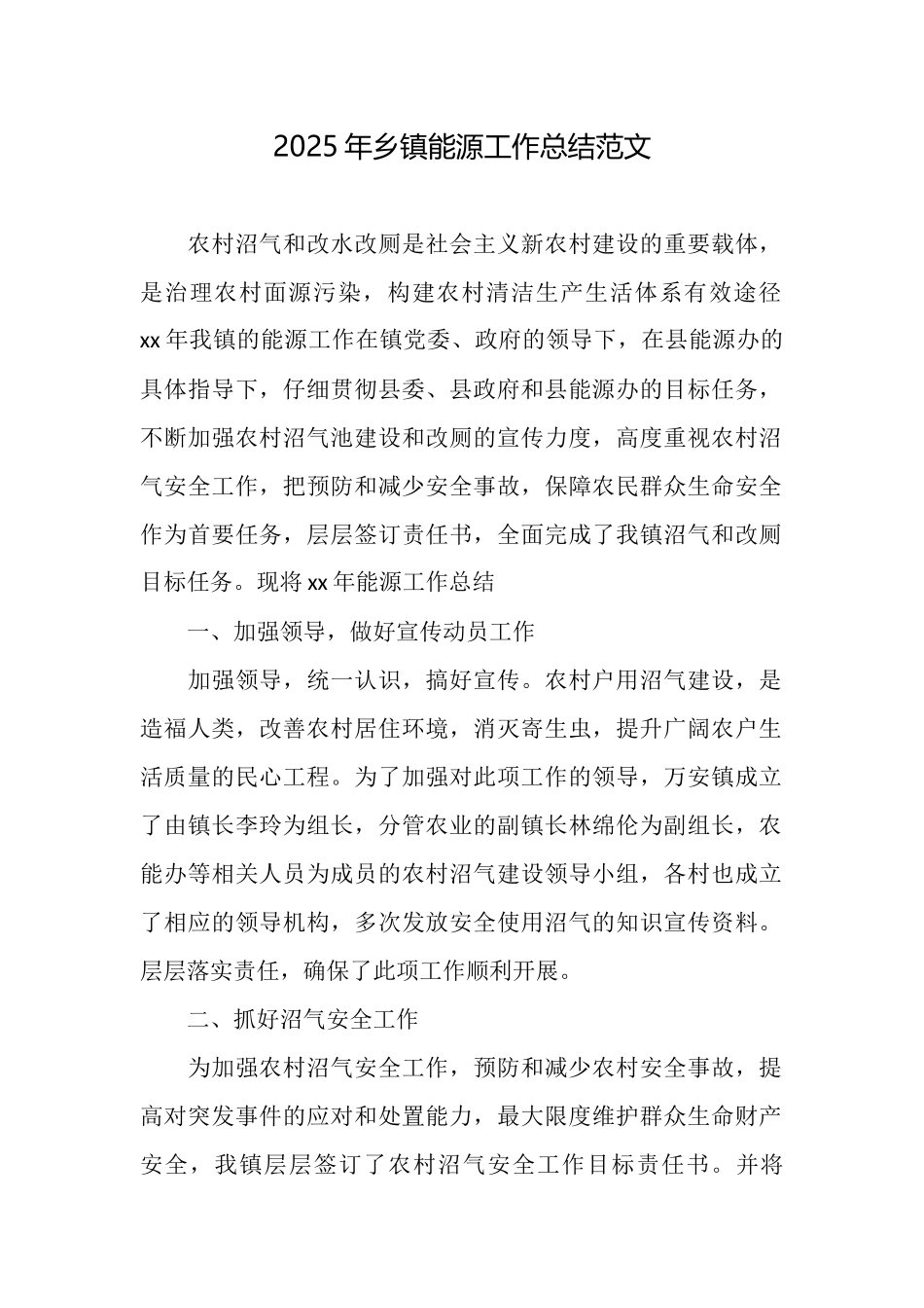 2025年乡镇能源工作总结范文_第1页