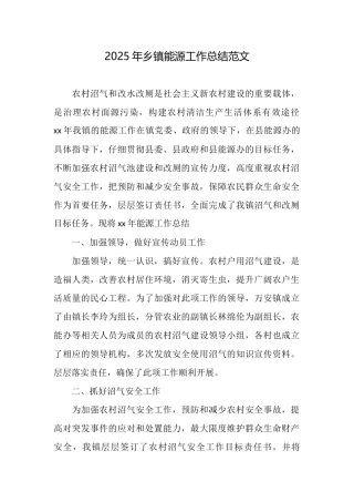 2025年乡镇能源工作总结范文