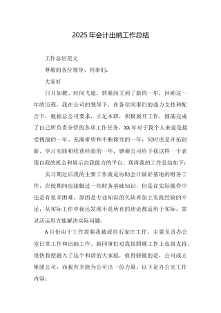 2025年会计出纳工作总结