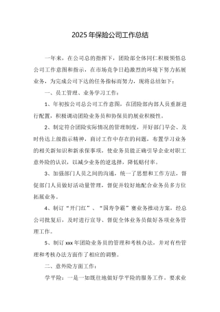 2025年保险公司工作总结