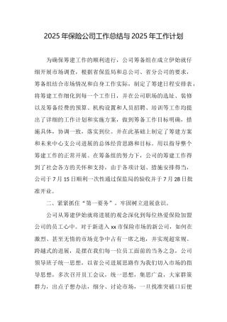 2025年保险公司工作总结与2025年工作计划