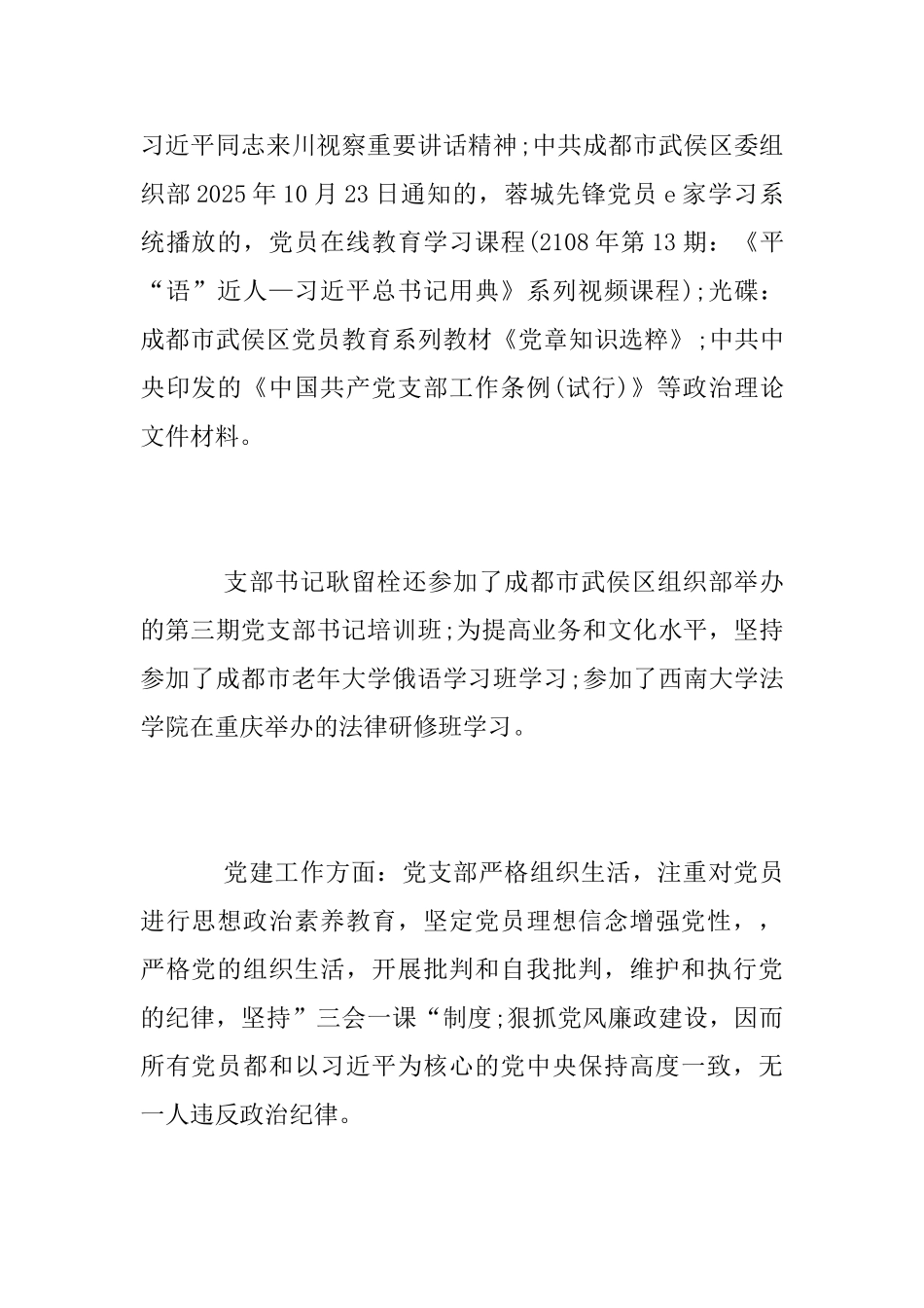 2025年党支部书记党建工作述职报告_第2页