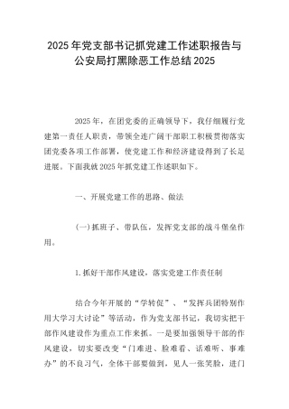 2025年党支部书记抓党建工作述职报告与公安局打黑除恶工作总结2025