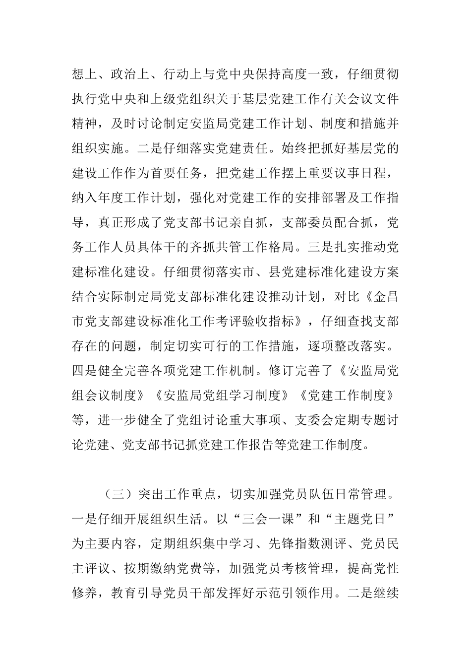 2025年党支部党建工作总结范本_第3页