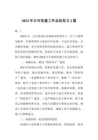 2025年公司党建工作总结范文2篇