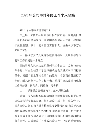 2025年公司审计年终工作个人总结