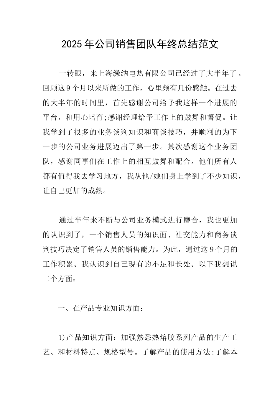 2025年公司销售团队年终总结范文_第1页