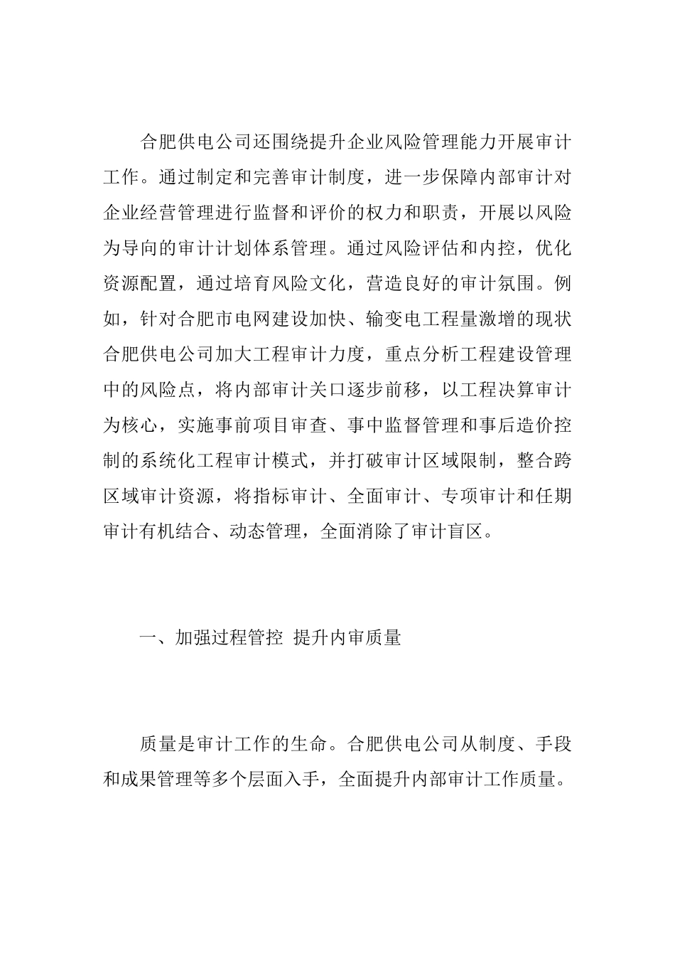 2025年内部审计工作总结_第2页