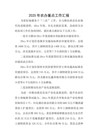 2025年农办重点工作汇报