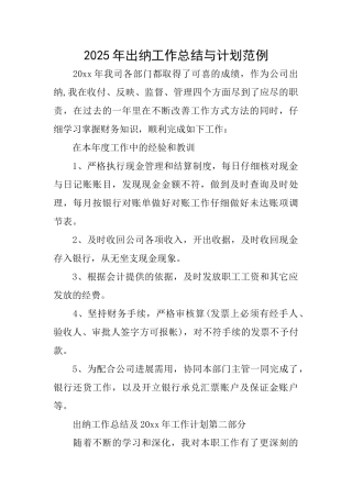 2025年出纳工作总结与计划范例