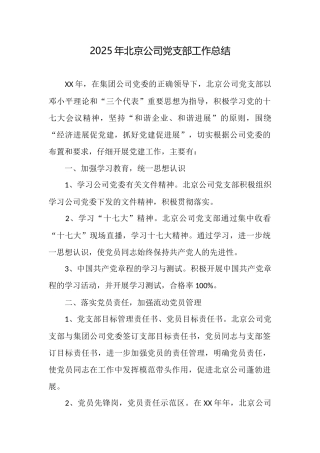 2025年北京公司党支部工作总结