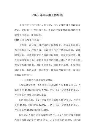 2025年半年度工作总结